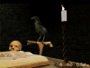 Magus Crow 3D Screensaver