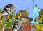 Virtual Aquarium Game scr 3