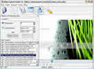 Capture Flash File and Flash Screen, Infine Flash Capture screen shot