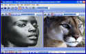 Morphing Software, Morph Picture Image Morphing Program