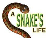 Snake Game - A Snake's Life Game