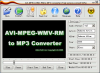 AVI MPEG WMV RM to MP3 Converter