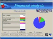 Financial Analysis - standard