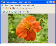 AD Picture Viewer