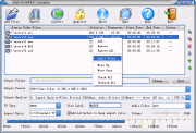 Allok AVI MPEG Converter