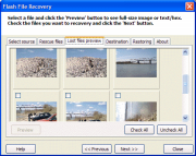 Flash File Recovery