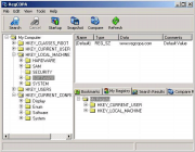 RegCOPA Registry Editor