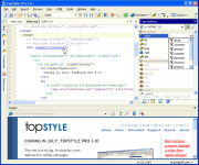 TopStyle Pro