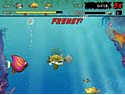 Play Feeding Frenzy scr1