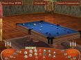 Billiards Game scr 4
