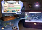 Virtual Aquarium Game Game scr 2