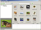 Image grabber, Picture Grabber, Web Pictures Grabber