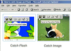SaveWeb Download - Save Flash or Image