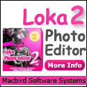 Loka seamless texture generator