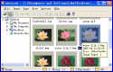 AyeView - Image Viewer