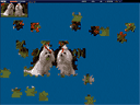 Daily Jigsaw Puzzle - Elite Jigsaw Puzzle Game screen shot 1
